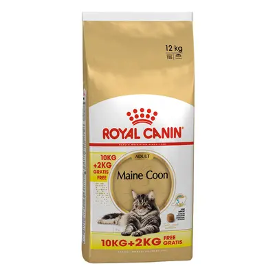 Royal Canin Maine Coon Adult Crocchette per gatto - 10 kg + 2 kg GRATIS!