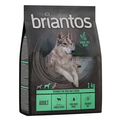 Prezzo speciale! 1 kg Briantos Crocchette senza cereali - Adult Agnello