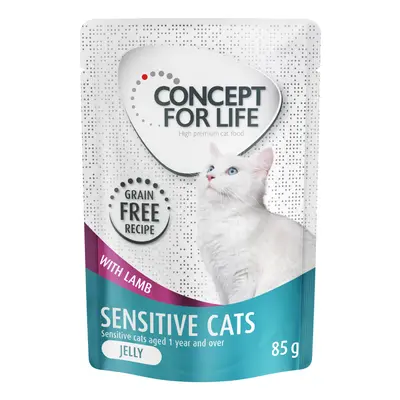 Concept for Life Sensitive Cats Senza cereali Agnello - in gelatina - Set %: 24 x 85 g