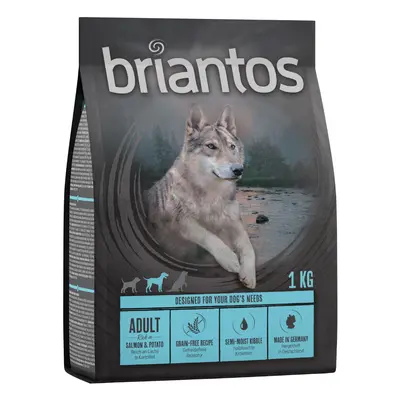 Prezzo speciale! 1 kg Briantos Crocchette senza cereali - Adult Salmone