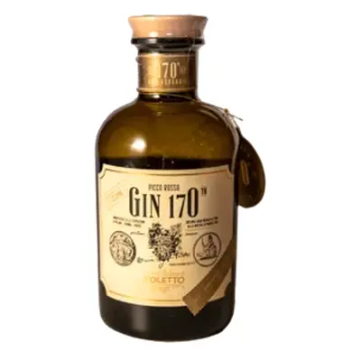 Gin 170th, bucce di limoni del Garda e bacche di Ginepro, 500ml