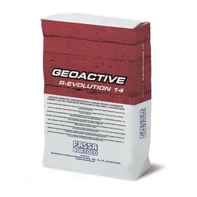 Rasante Fassa Bortolo Geoactive R-Evolution 14 (Sacco da 25 Kg)