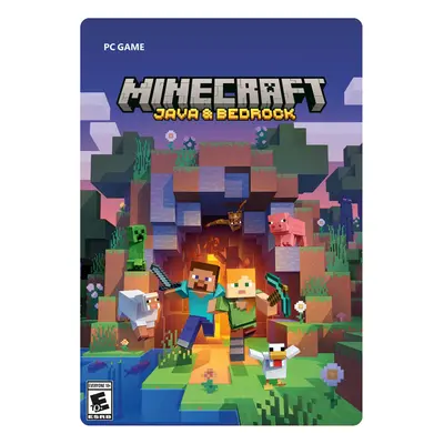 Xbox Game Studios Minecraft - Java & Bedrock Edition