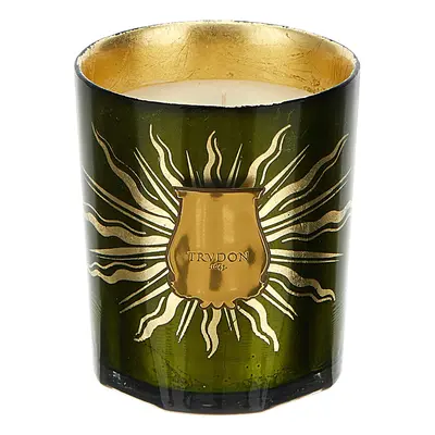 CIRE TRUDON Candela 'Gabriel Gourmand Chimney Fire' 270 Gr