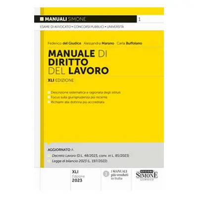 Manuale di biritto del lavoro