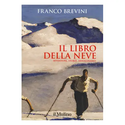 Il libro della neve. Avventure, storie, immaginario