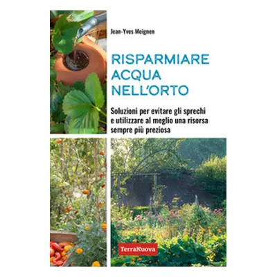 Risparmiare acqua nell'orto. Soluzioni per evitare gli sprechi e utilizzare al meglio una risors