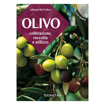 L'olivo. Coltivazione, raccolta e utilizzo