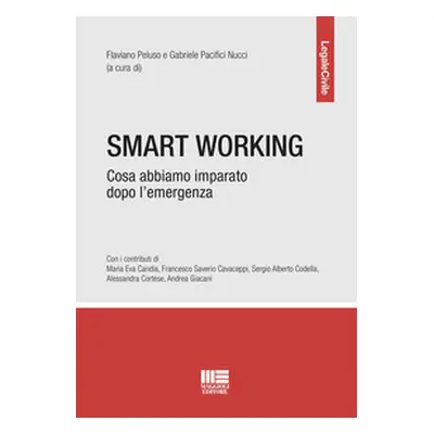 Smart working. Cosa abbiamo imparato dopo l'emergenza