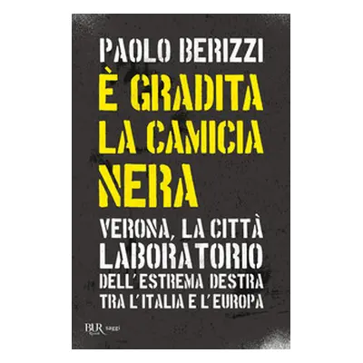 È gradita la camicia nera. Verona, la città laboratorio dell'estrema destra tra l'Italia e l'Eur