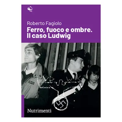 Ferro, fuoco e ombre. Il caso Ludwig