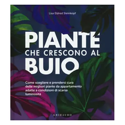 Piante che crescono al buio. Come scegliere e prendersi cura delle migliori piante d'appartament