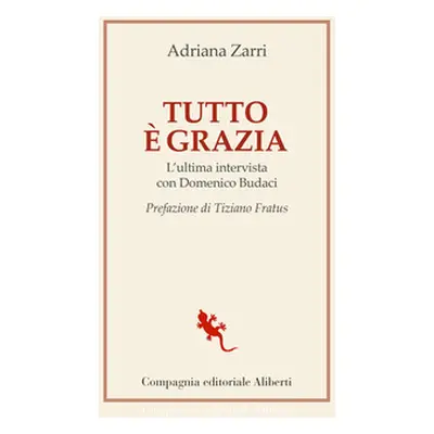 Tutto è grazia. L'ultima intervista con Domenico Budaci