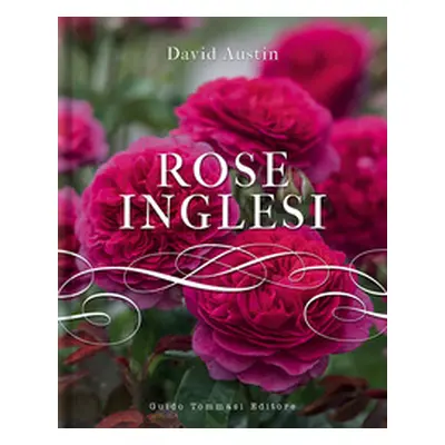 Rose inglesi