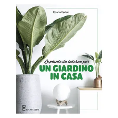 Le piante da interno per un giardino in casa