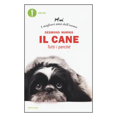 Il cane. Tutti i perché. I migliori amici dell'uomo