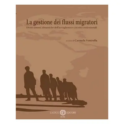 La gestione dei flussi migratori. Diritti umani, dinamiche dell'accoglienza e circuiti confessio