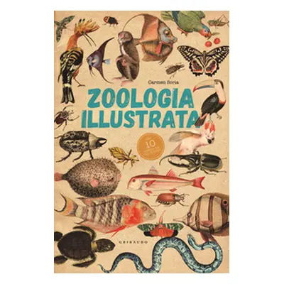 Zoologia illustrata