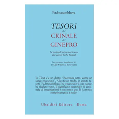 Tesori dal crinale del ginepro. Le profonde istruzioni-tesoro alla dâkinî Yeshe Tsogyal