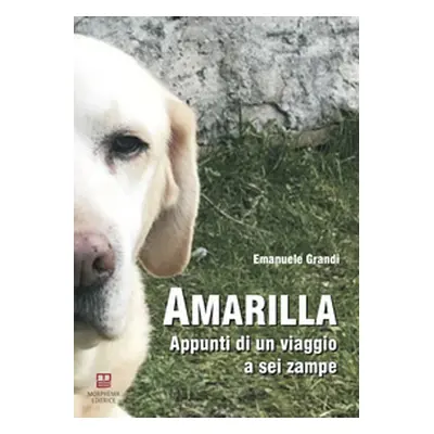 Amarilla. Appunti di un viaggio a sei zampe