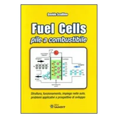 Fuel cells. Pile a combustibile. Struttura, funzionamento, impiego nelle auto, problemi e prospe