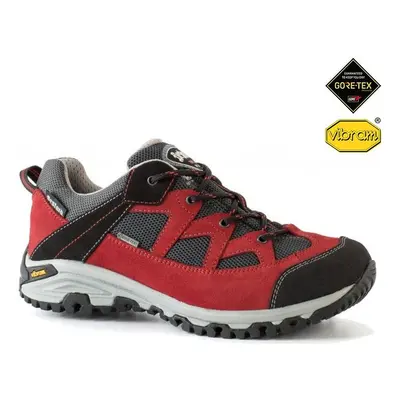 Scarpe da escursionismo Uomo Flow GTX