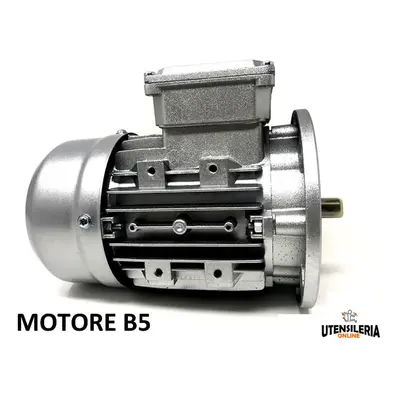 Motore elettrico trifase IE1 400V 8 poli 700 giri 315LB8 Kw 110.0 B5