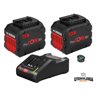 Set ricarica Bosch 2x ProCORE 18V 12Ah + GAL 18V-160 C + GCY 30-4