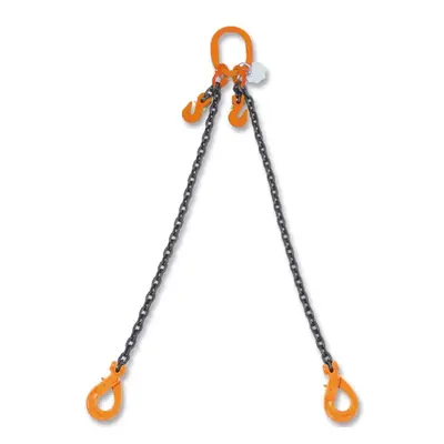 Catena sollevamento 2 bracci Beta 8097SL con ganci Self-Locking e accorciatori