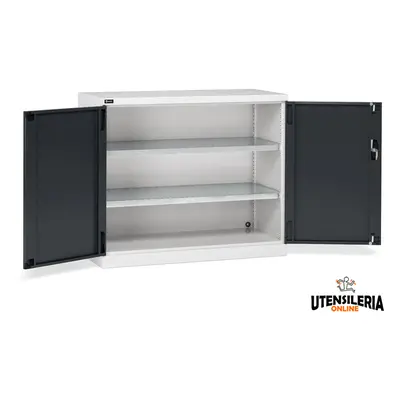 Armadio ante battenti Fami Perfom 64x27 EH 1193x555x1000 con 2 ripiani, portata 800 Kg