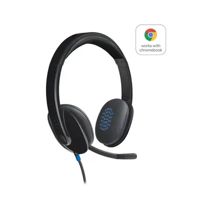 Logitech H540 Auricolare Cablato A Padiglione Ufficio USB 981-000480