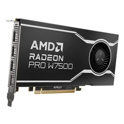 AMD Radeon Pro W7500 8 GB GDDR6 100-300000078