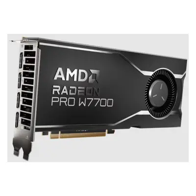 AMD Radeon PRO W7700 16 GB GDDR6 100-300000006