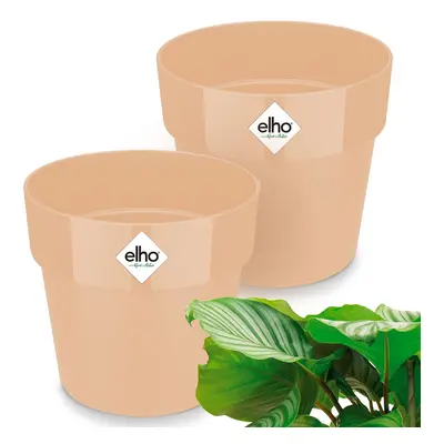 Set di 2 vasi da fiori Peach 14x13cm 1,3L