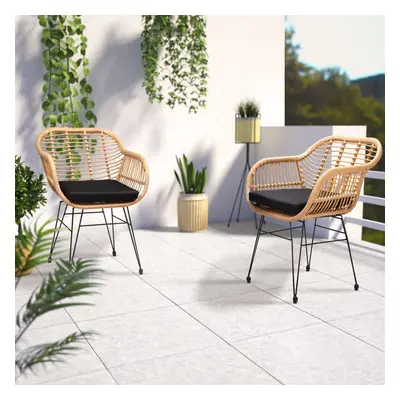 2x Sedie da Giardino Rattan