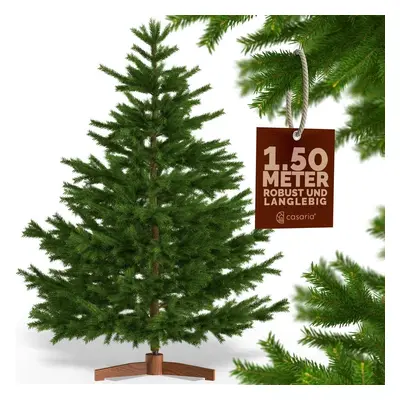 Albero di Natale Premium artificiale L 150x90cm