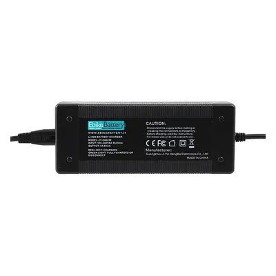 Caricabatterie 48V per Batterie al Litio con Adattatori DC/XLR e DC/RCA