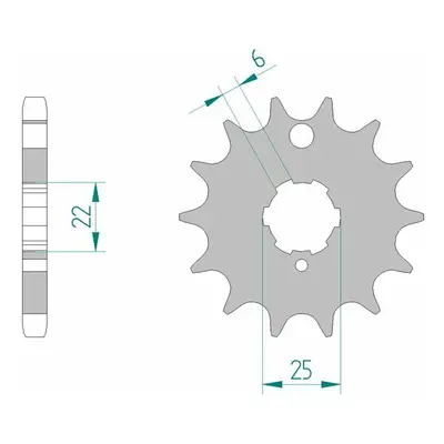 AFAM Pignone standard in acciaio 24401 - 530