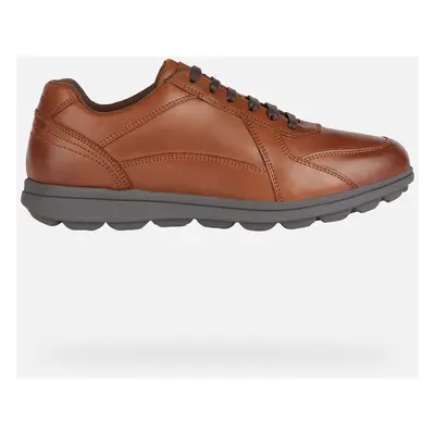 GEOX Scarpe Spherica Ec12 Uomo Cognac