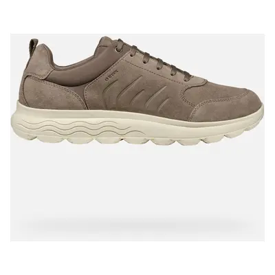 GEOX Scarpe Spherica Uomo Taupe