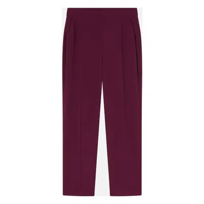 Pinko, Pantaloni eleganti in tessuto tecnico, Vino d'uva, 38