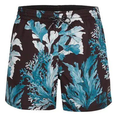 Pantaloncini da bagno O'Neill Origin Oyster