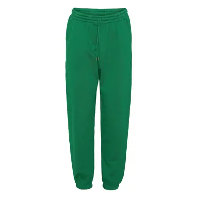 Joggers Colorful Standard Organic kelly green