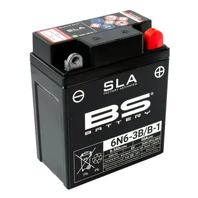 Batteria SLA BS Battery 6N6-3B/B-1 6V 6,3Ah