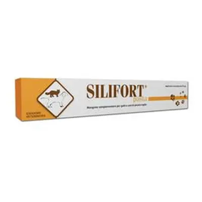 Silifort pasta os siringa 15 g