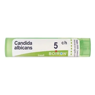 Boiron candida albicans 5ch gr 4g