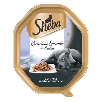 Sheba Sheba Creazioni Speciali in Salsa Trota & erbe aro