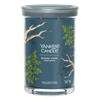 Yankee Candle Bayside Cedar LARGE 567g - Candela Profumata