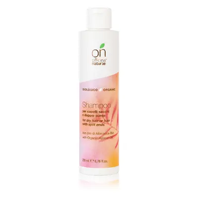 Officina Naturae SHAMPOO PER CAPELLI SECCHI E DOPPIE PUNTE 200ml - Shampoo Delicato