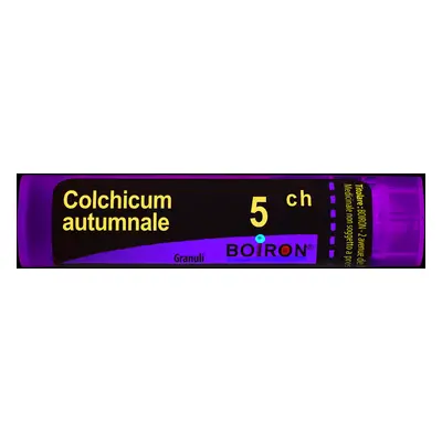 Colchicum Autumnale 5ch Granuli Multidose Boiron